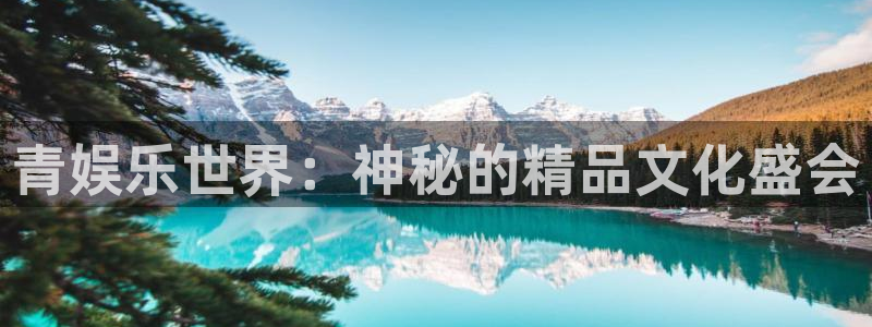 万事娱乐登录：青娱乐世界：神秘的精品文化盛会