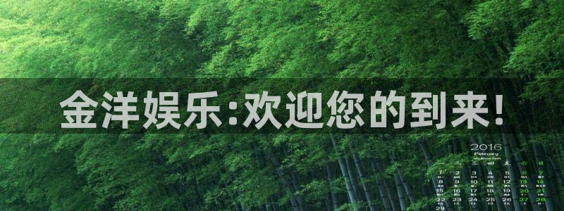 万事娱乐登录地址：金洋娱乐:欢迎您的到来!