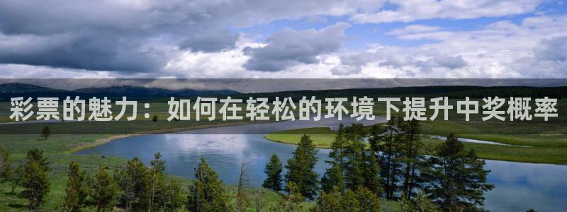 万事娱乐登录：彩票的魅力：如何在轻松的环境下提升中奖概率