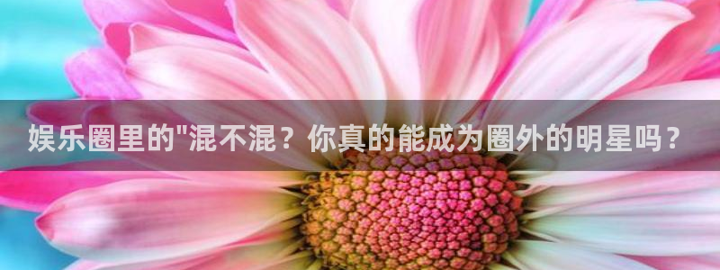 万事娱乐登录：娱乐圈里的\