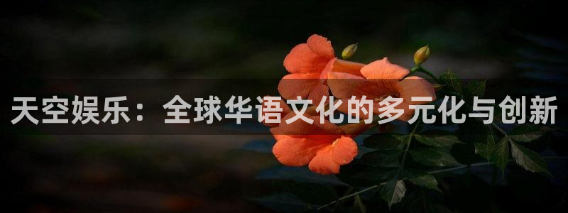 万事娱乐登录：天空娱乐：全球华语文化的多元化与创新