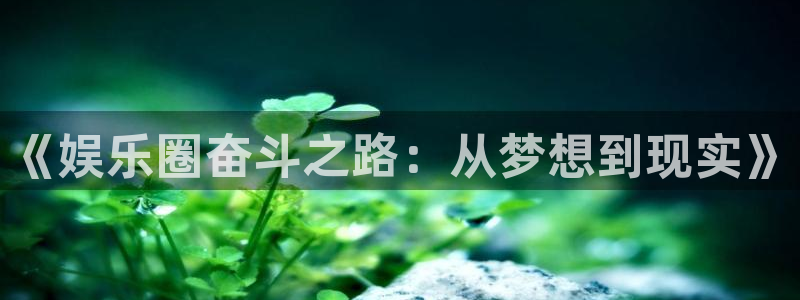 万事娱乐：《娱乐圈奋斗之路：从梦想到现实》