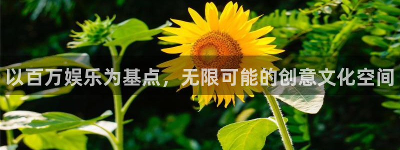 万事娱乐登录