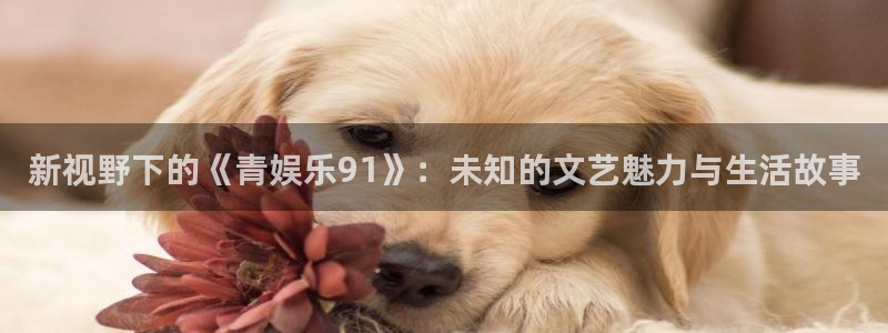 万事娱乐：新视野下的《青娱乐91》：未知的文艺魅力与生活故事
