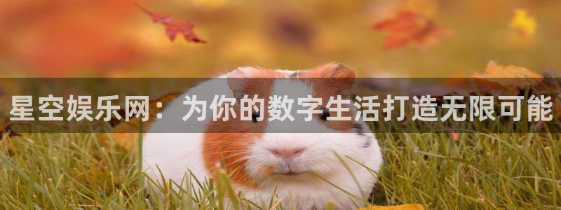 万事娱乐登录：星空娱乐网：为你的数字生活打造无限可能